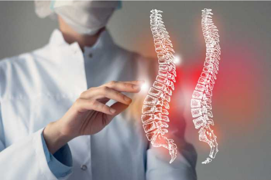 fisioterapeuta mostrano tipos de colunas