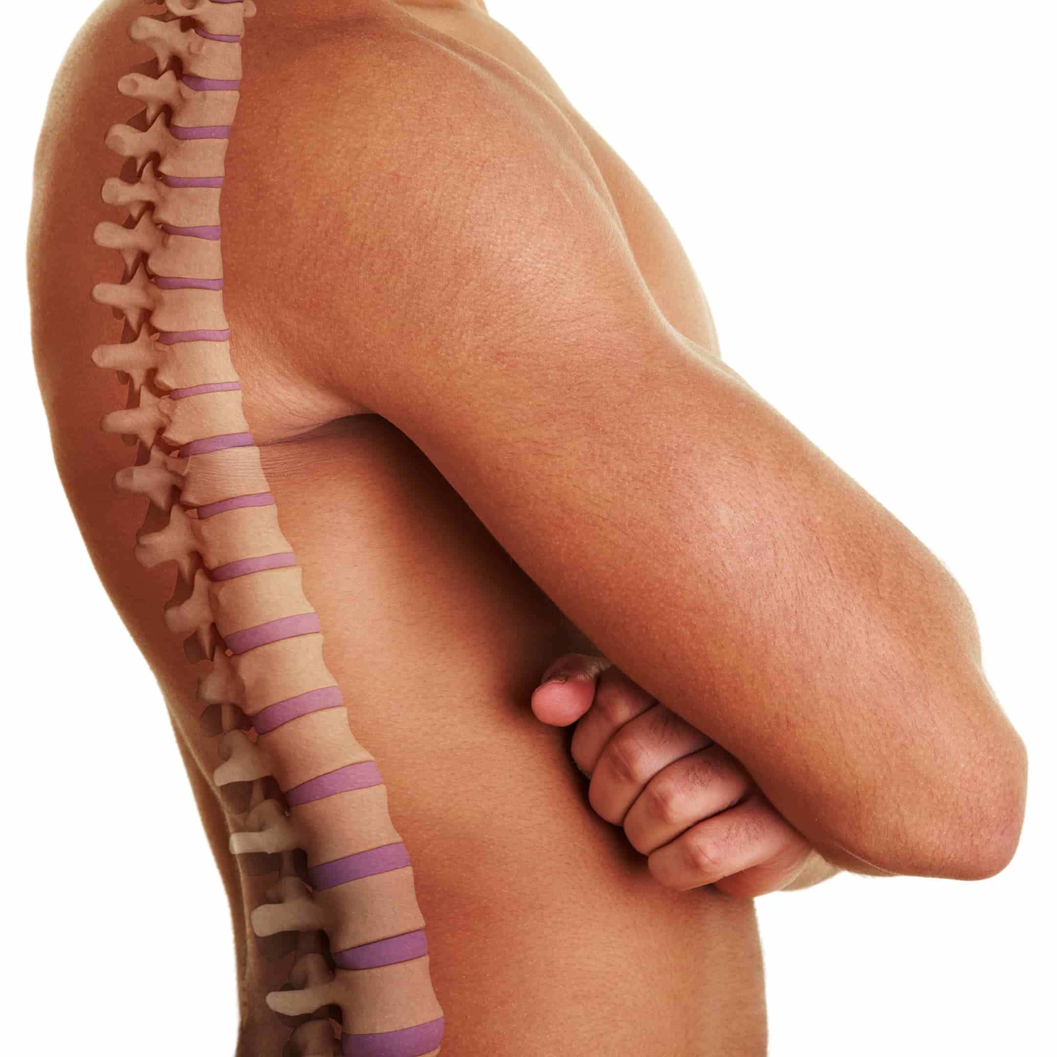 coluna vertebral de homem