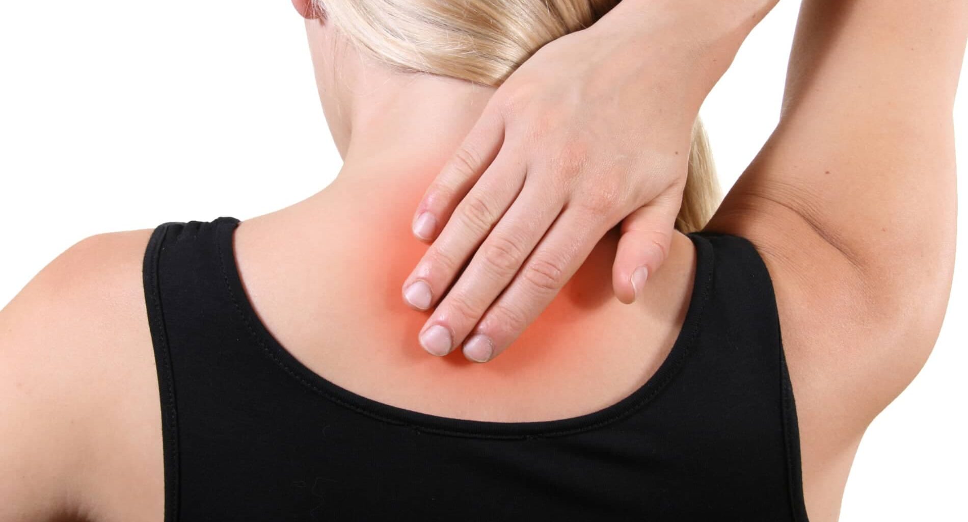 foto de coluna dorsal