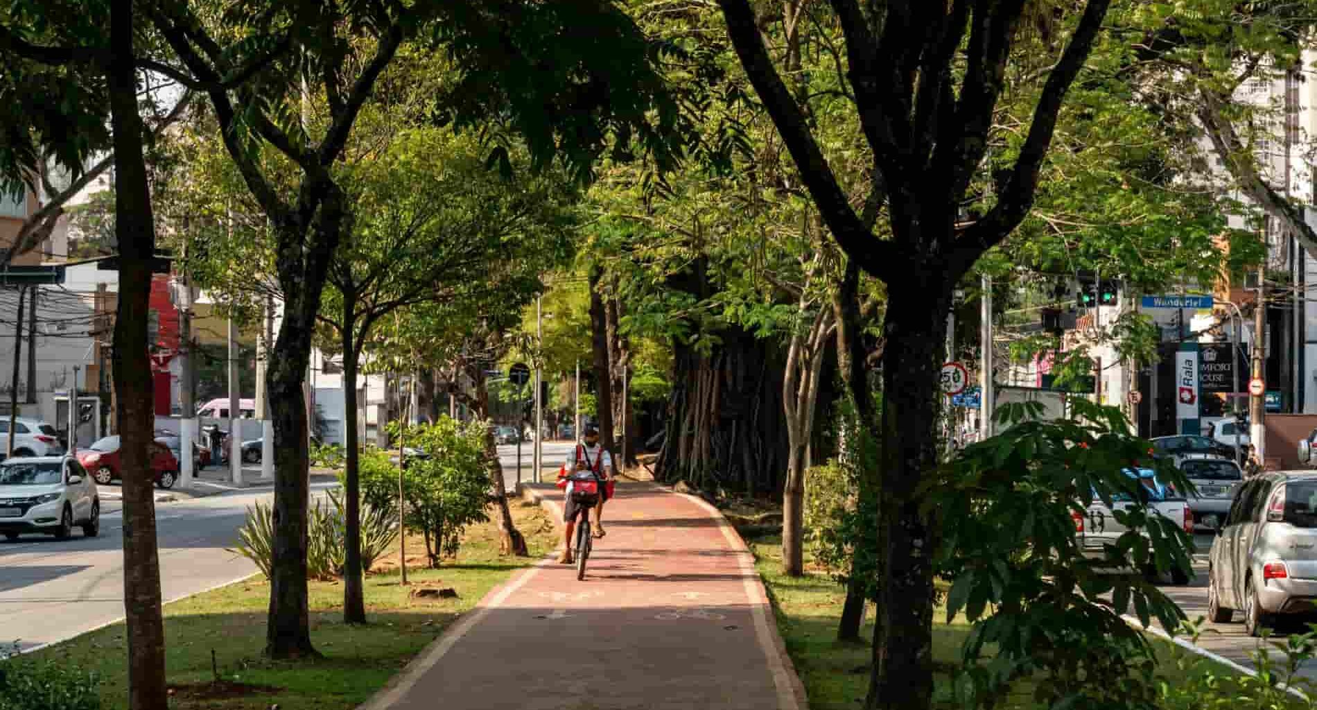 foto de fisioterapia em Perdizes