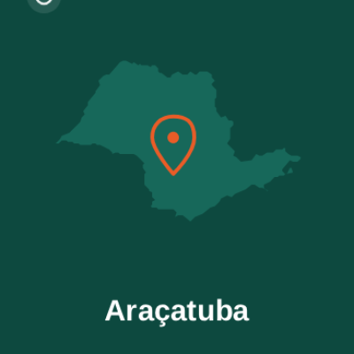 capa-estado-aracatuba