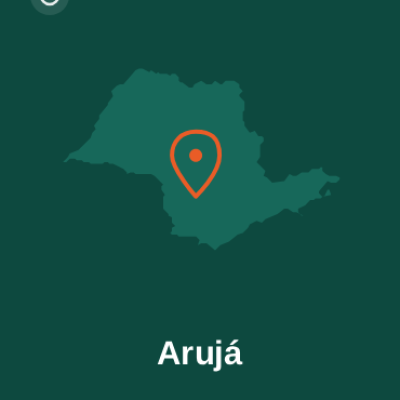 capa-estado-aruja
